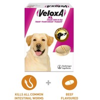 Veloxa XL Chewable Tablets for Dogs big image