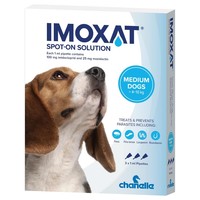 Imoxat 100/25mg Spot-On Solution for Medium Dogs big image