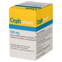 Cephorum 500mg Tablets for Dogs big image