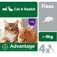 Advantage 80 Flea Treatment for Large Cats and Rabbits 4 Pipettes big image