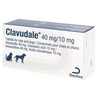 Clavudale 40mg/10mg Tablets for Cats and Dogs big image