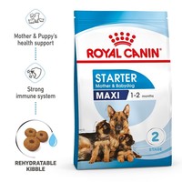 Royal Canin Maxi Starter Mother & Babydog Adult/Puppy Dry Food big image