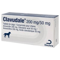 Clavudale 200mg/50mg Tablets for Dogs big image