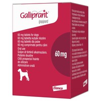 Galliprant 60mg Flavoured Tablets for Dogs big image