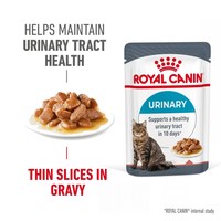 Royal Canin Urinary Care Adult Wet Cat Food in Gravy big image