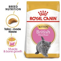 Royal Canin British Shorthair Kitten Dry Cat Food 10Kg big image