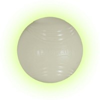 Chuckit! Max Glow Ball (Small) big image