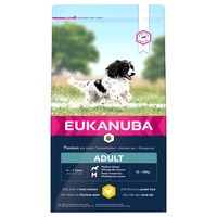 Eukanuba Active Adult Medium Breed Dog Food (Chicken) 12Kg big image
