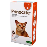Prinocate 40mg/4mg Spot-On Solution for Small Cats and Ferrets big image