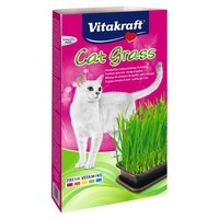 Vitakraft Cat Grass 120g big image