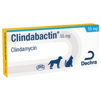 Clindabactin 55mg Chewable Tablets for Dogs and Cats big image