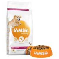 Iams for Vitality Large Breed Senior Dog Food (Fresh Chicken) 12kg big image