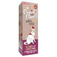 Rosewood Cupid & Comet 12 Days of Christmas Treats for Dogs 300g big image