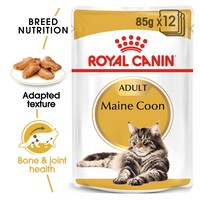 Royal Canin Maine Coon Pouches in Gravy Adult Cat Food big image