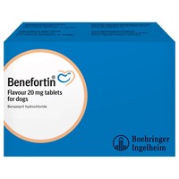 Benefortin 20mg Flavoured Tablets for Dogs big image