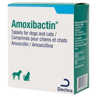 Amoxibactin 50mg Tablets for Cats and Dogs big image