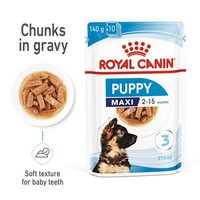 Royal Canin Maxi Puppy Wet Food Chunks in Gravy big image
