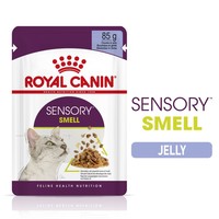 Royal Canin Sensory Smell Wet Food Pouches in Jelly for Cats big image