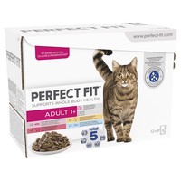 Perfect Fit Adult 1+ Wet Cat Food Pouches (Salmon & Carrots) big image