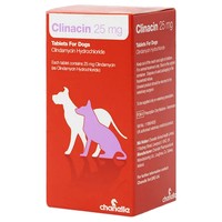 Clinacin 25mg Tablets for Dogs big image