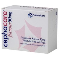 Cephacare 50mg Flavoured Tablets for Cats and Dogs big image