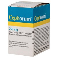 Cephorum 250mg Tablets for Dogs big image