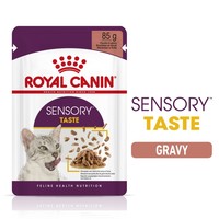 Royal Canin Sensory Taste Adult Wet Cat Food in Gravy big image