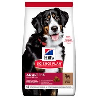 Hills Science Plan Adult 1-5 Large Breed Dry Dog Food (Lamb) 14kg big image