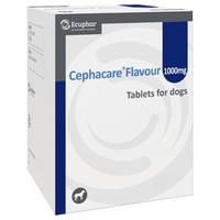 Cephacare 1000mg Flavoured Tablets for Cats and Dogs big image