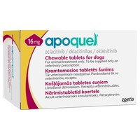 Apoquel 16mg Chewable Tablets for Dogs big image