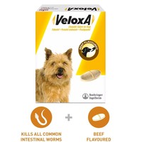 Veloxa Chewable Tablets for Dogs big image