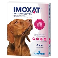 Imoxat 250/62.5mg Spot-On Solution for Large Dogs big image