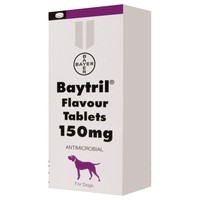 Baytril 150mg Flavoured Tablets for Dogs big image