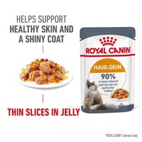 Royal Canin Hair & Skin Care Adult Wet Cat Food in Jelly big image