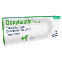 Doxybactin 200mg Tablets for Dogs big image