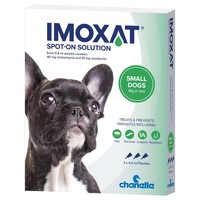 Imoxat 40/10mg Spot-On Solution for Small Dogs big image