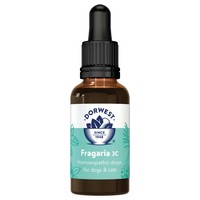Dorwest Fragaria Liquid for Dogs and Cats big image