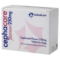 Cephacare 250mg Flavoured Tablets for Cats and Dogs big image