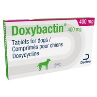 Doxybactin 400mg Tablets for Dogs big image