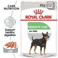 Royal Canin Digestive Care Wet Dog Food Pouches big image
