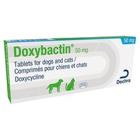 Doxybactin 50mg Tablets for Cats and Dogs big image