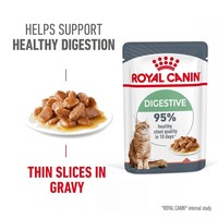 Royal Canin Digestive Care Adult Wet Cat Food in Gravy big image