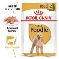 Royal Canin Poodle Wet Adult Dog Food big image