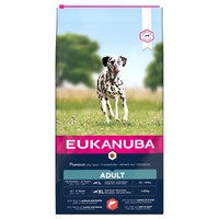 Eukanuba Adult Large Breed Dog Food (Salmon & Barley) 12kg big image