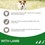 Iams for Vitality Small/Medium Breed Adult Dog Food (Lamb) thumbnail