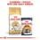 Royal Canin Norwegian Forest Adult Dry Cat Food 10kg thumbnail