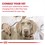 Royal Canin Veterinary Adult Dry Food for Large Dogs 13kg thumbnail