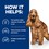 Hills Prescription Diet ZD Dry Food for Dogs thumbnail