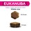 Eukanuba Daily Care Sensitive Skin Adult Dog Food 12kg thumbnail