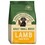 James Wellbeloved Adult Dog Small Breed Dry Food (Lamb & Rice) thumbnail